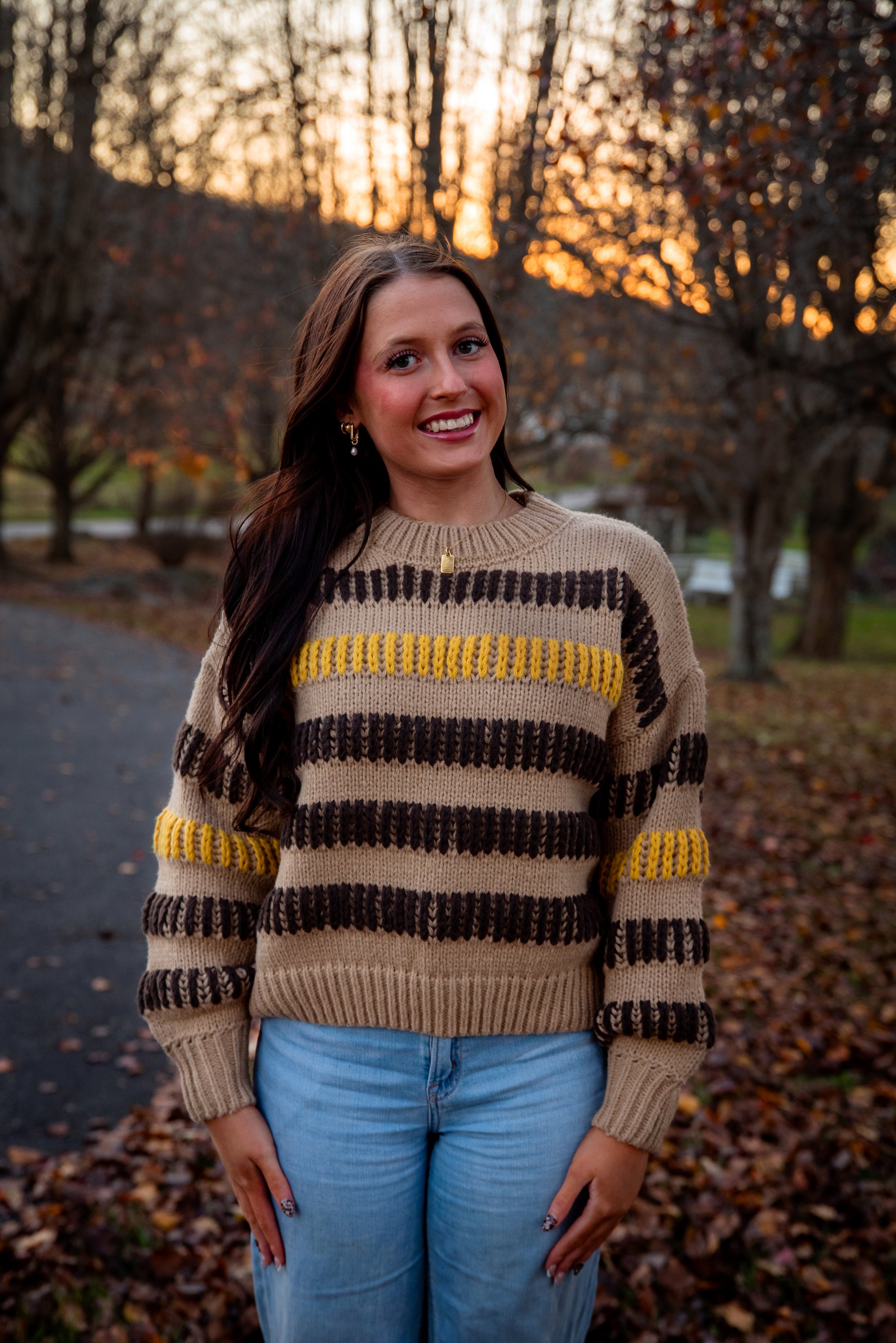 Soft Brushed Yarn Sweater for Women